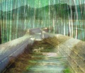 Thumbnail for version as of 15:48, 29 June 2017